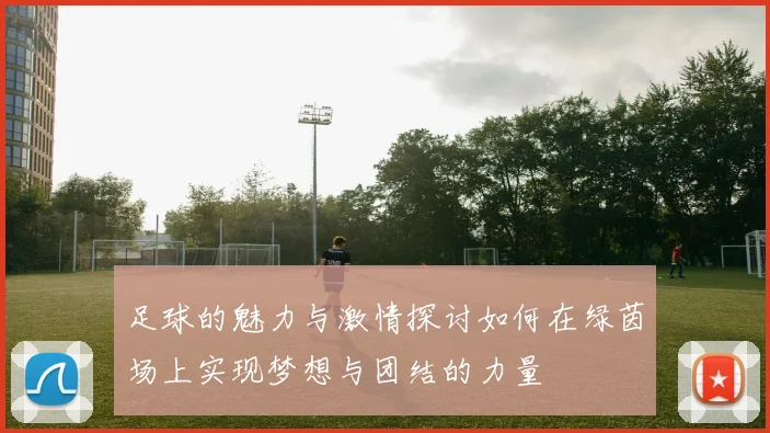 足球的魅力与激情探讨如何在绿茵场上实现梦想与团结的力量