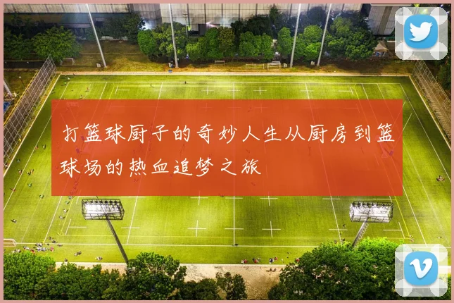 打篮球厨子的奇妙人生从厨房到篮球场的热血追梦之旅