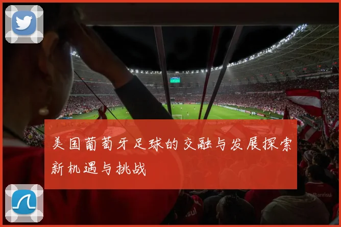 美国葡萄牙足球的交融与发展探索新机遇与挑战