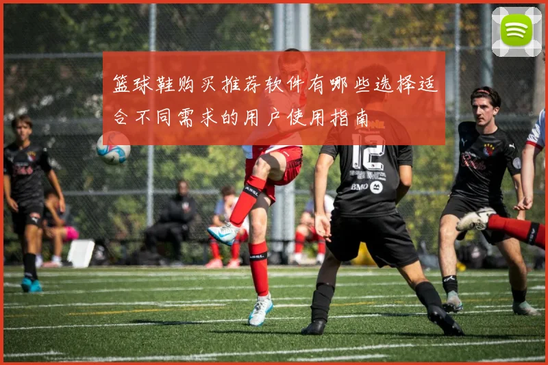 篮球鞋购买推荐软件有哪些选择适合不同需求的用户使用指南