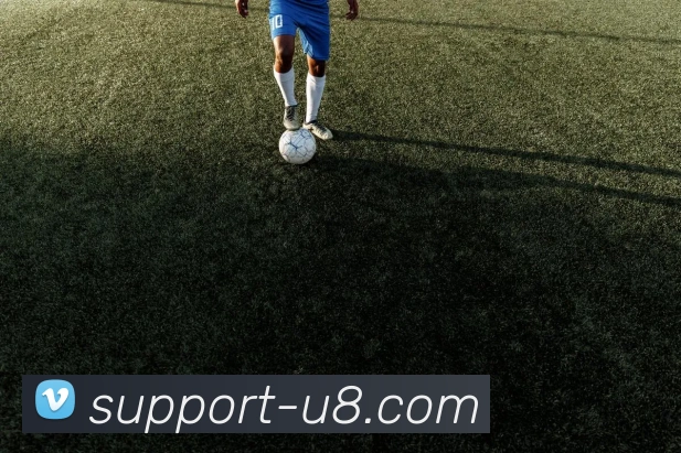 在线娱乐首选品牌APP 封面图